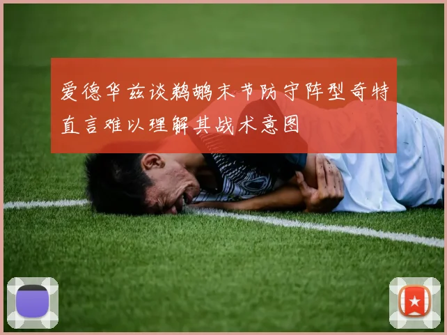 爱德华兹谈鹈鹕末节防守阵型奇特直言难以理解其战术意图