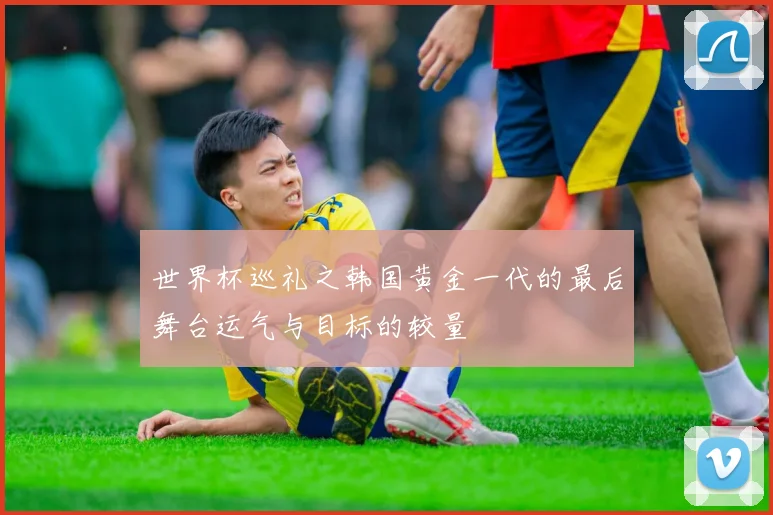世界杯巡礼之韩国黄金一代的最后舞台运气与目标的较量