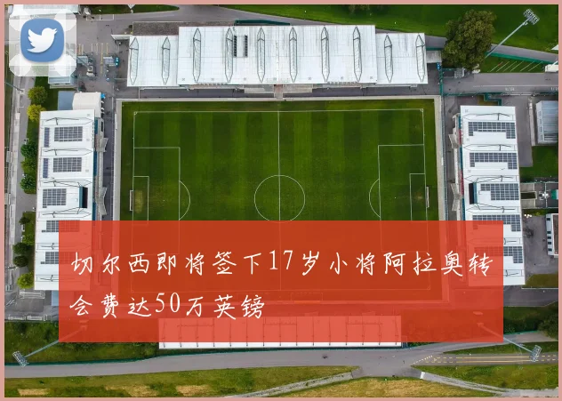 切尔西即将签下17岁小将阿拉奥转会费达50万英镑